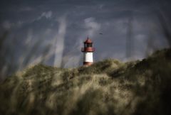 SYLT - Herbstwind