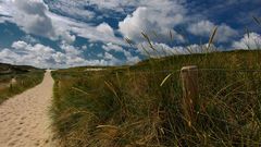 Sylt - Hörnumer Dünen II