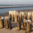 Sylt - Holzbuhnen mit Eis überzogen