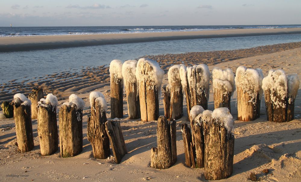 Sylt - Holzbuhnen mit Eis überzogen