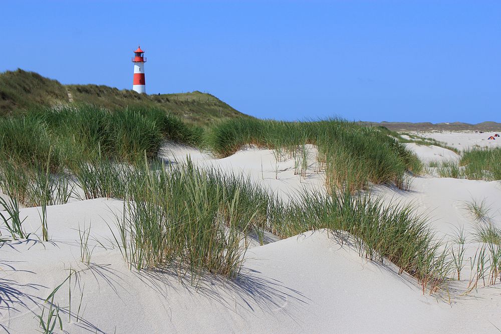 Sylt I