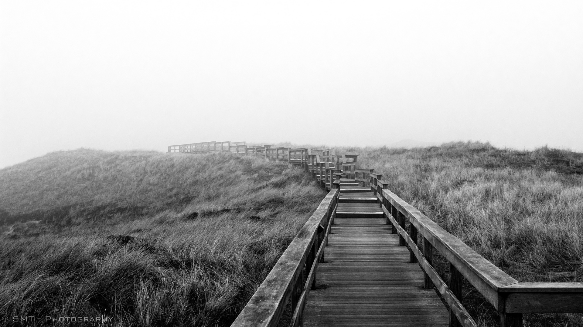 Sylt II