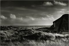 ~~SyLT~~ II