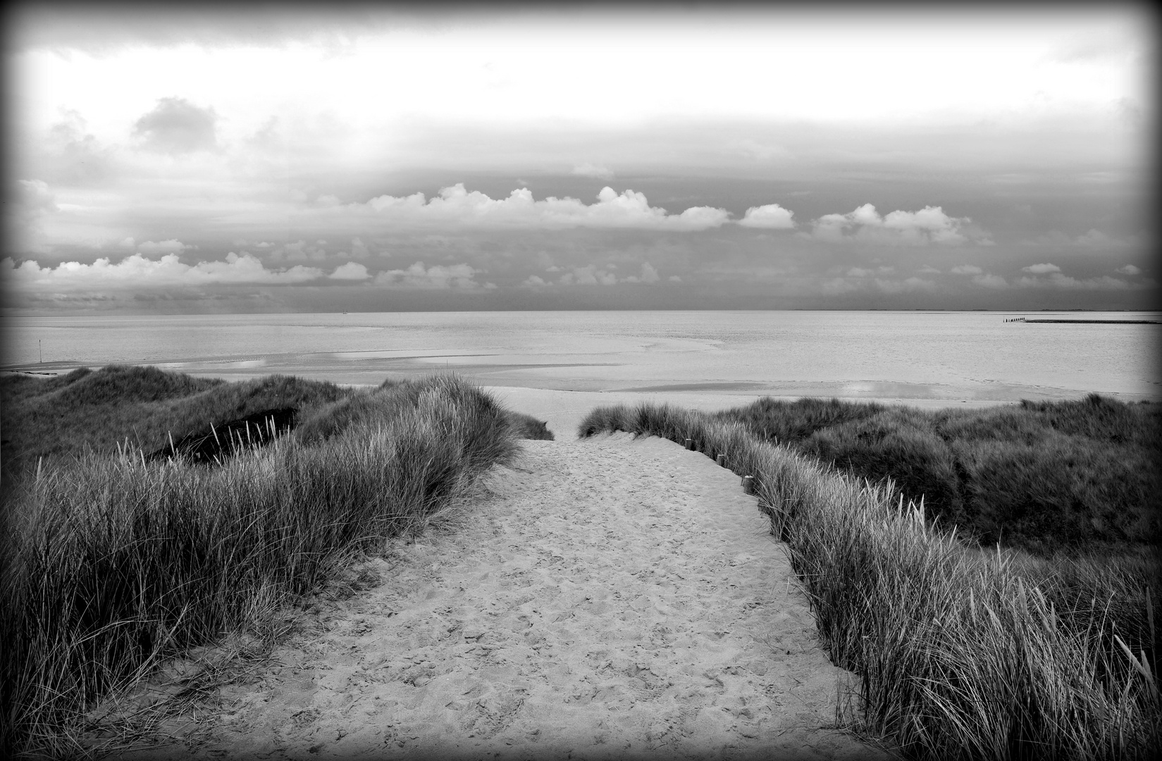 Sylt II