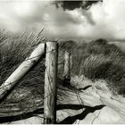 ~~SYLT III ~~