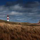 SYLT - Im Abendlicht