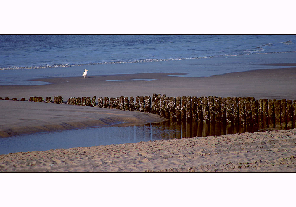 Sylt im Februar 2006