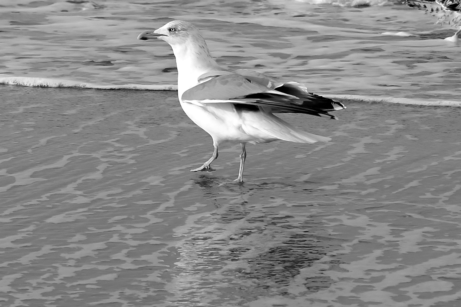 Sylt im Februar