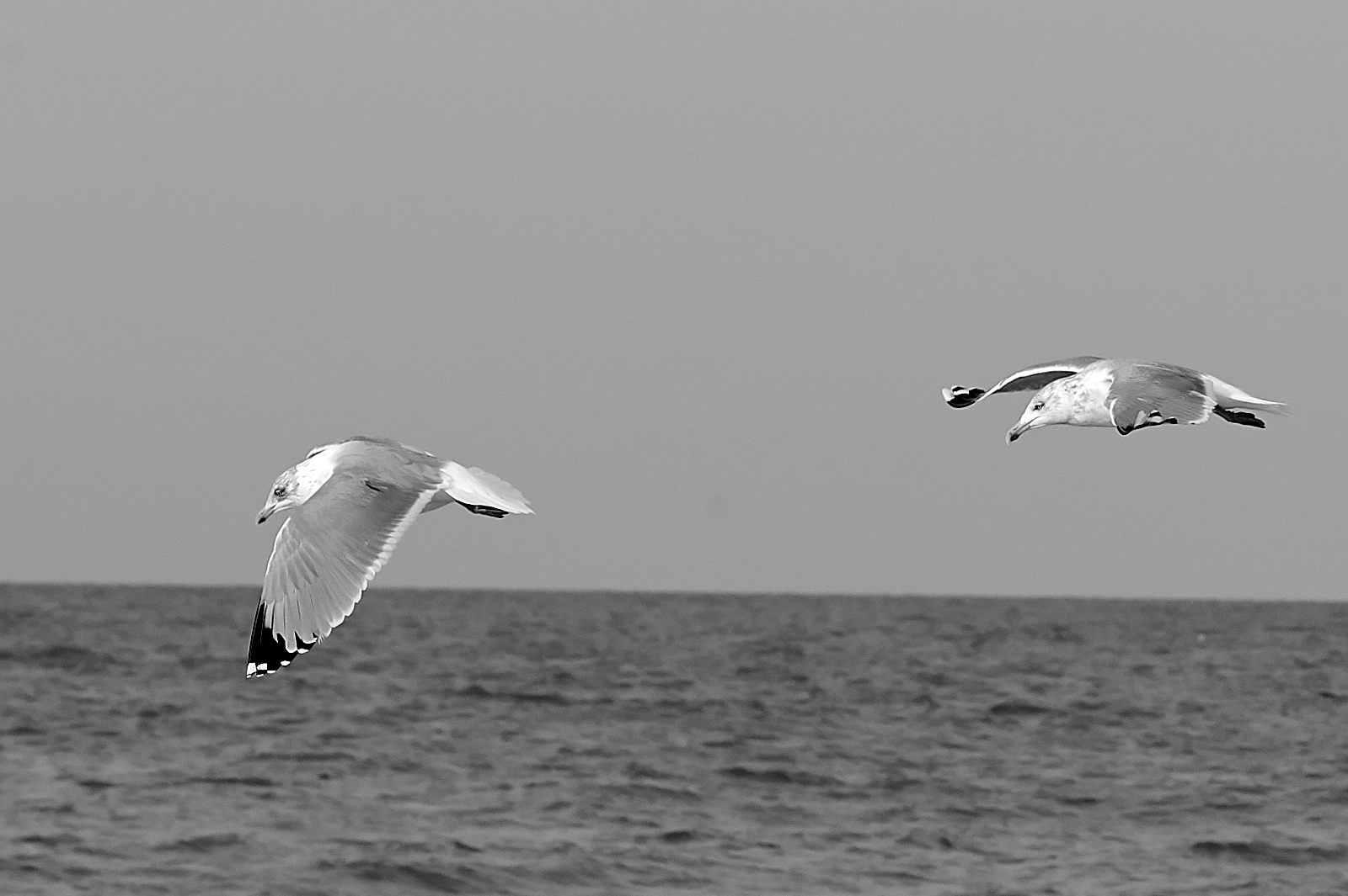 Sylt im Februar