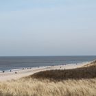 Sylt im Frühling