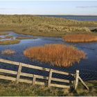 Sylt im Herbst