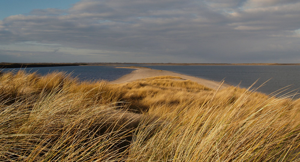 Sylt im Januar (1)