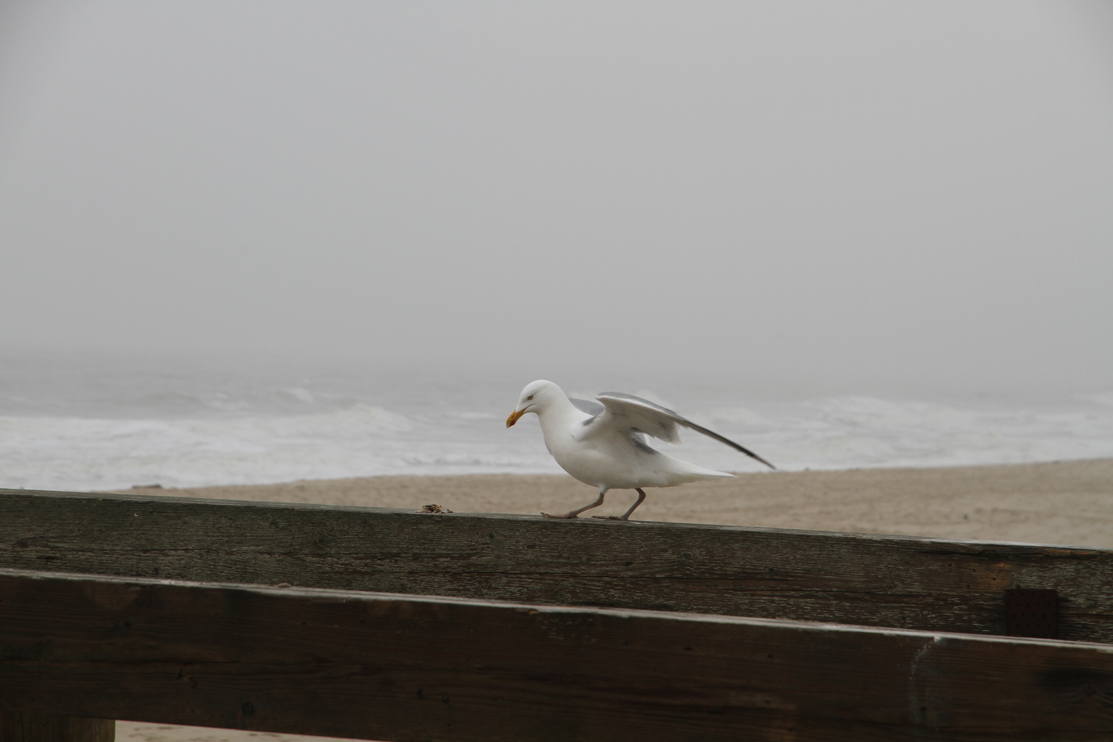 Sylt im März 2010