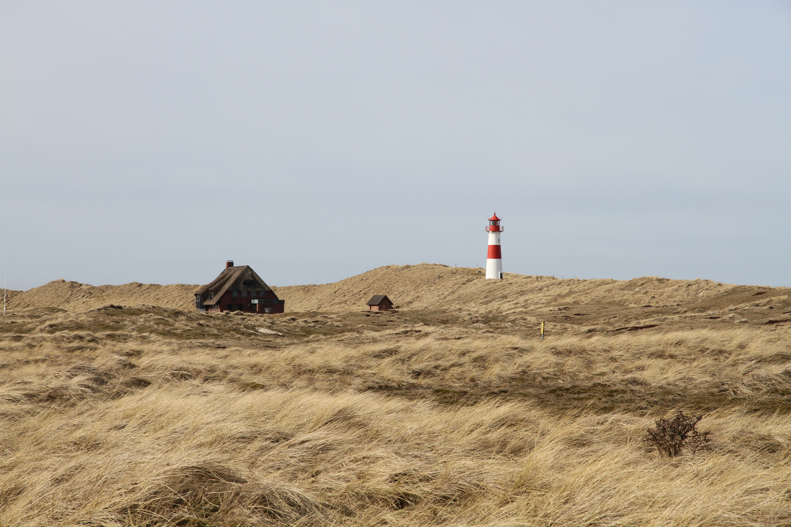 Sylt im März 2010 (Ellenbogen)