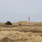 Sylt im März 2010 (Ellenbogen)