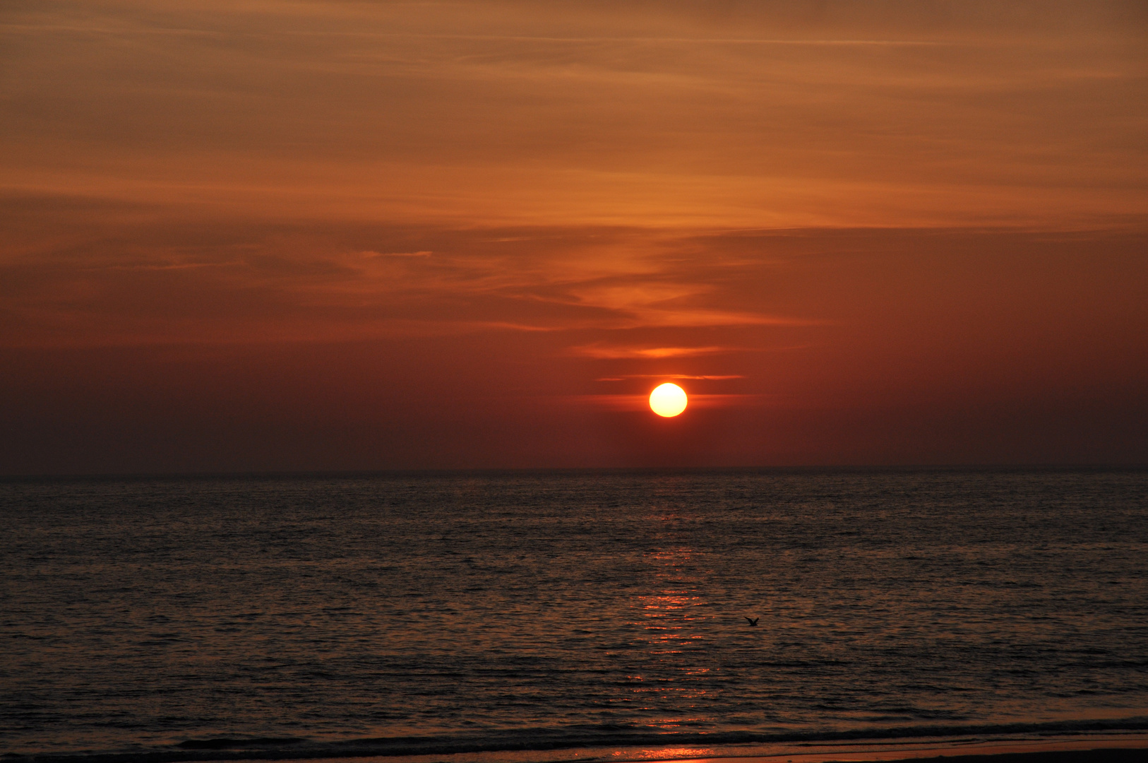 Sylt im Mai