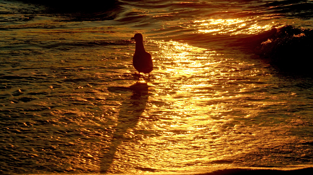 Sylt im Oktober 2011 (44)