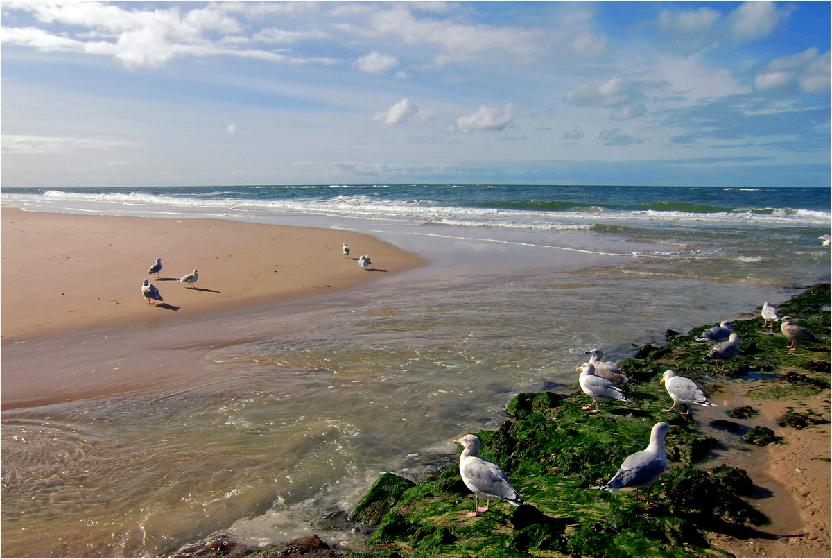 Sylt im September 2012(58)