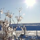 Sylt im Winter