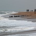 Sylt im Winter