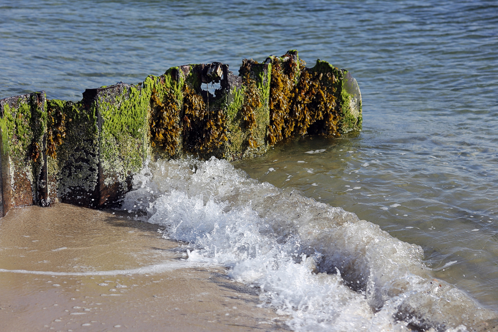 Sylt-Impresionen (04)