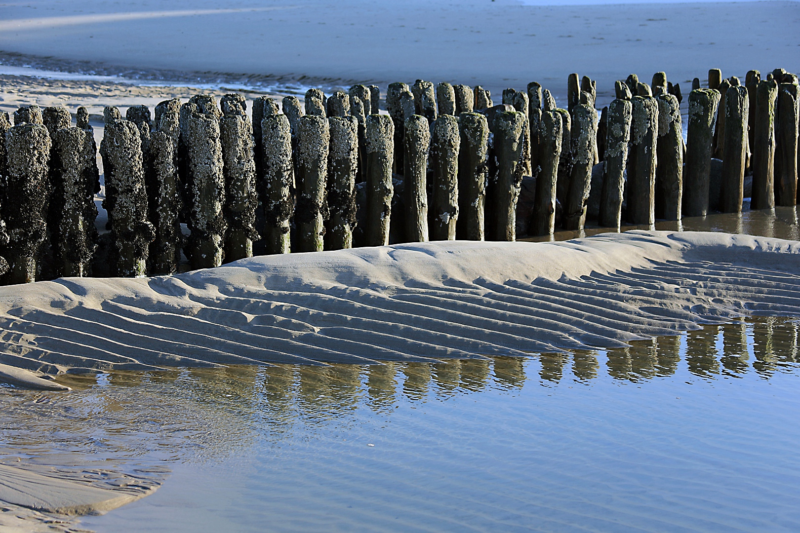 Sylt - Impressionen (02)