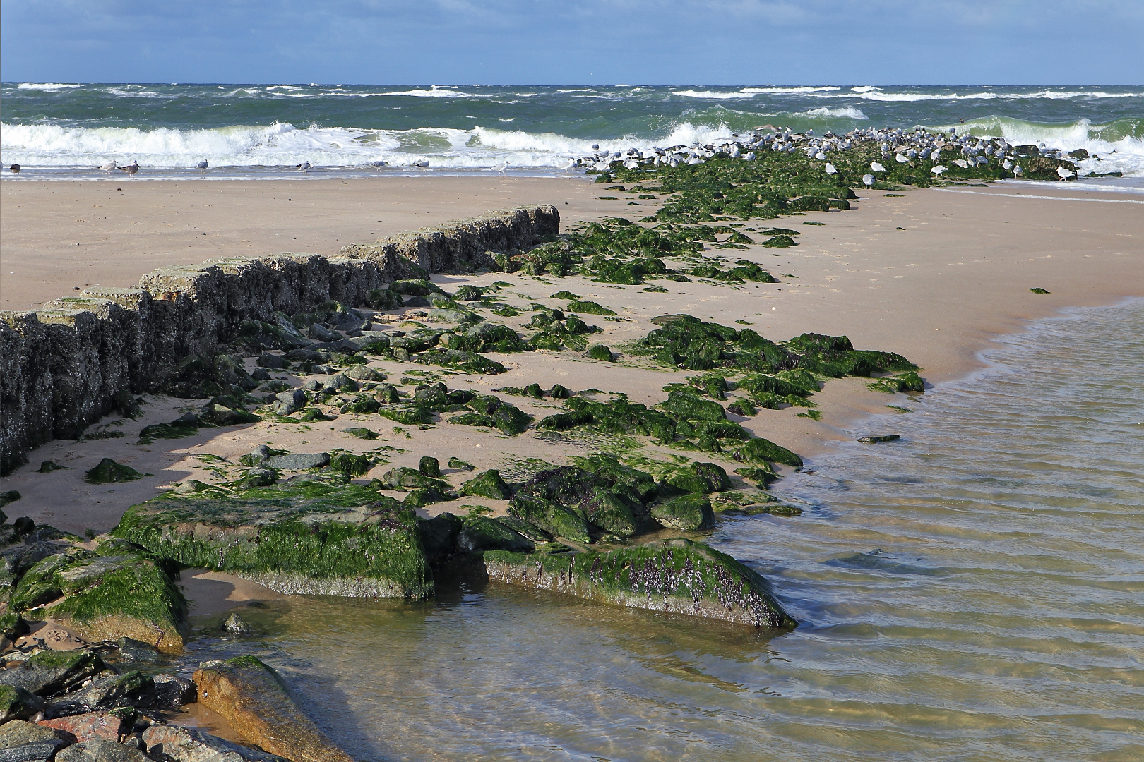 Sylt-Impressionen (04)