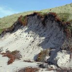 Sylt-Impressionen (05)