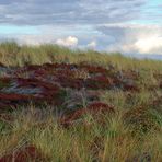 Sylt-Impressionen (07)