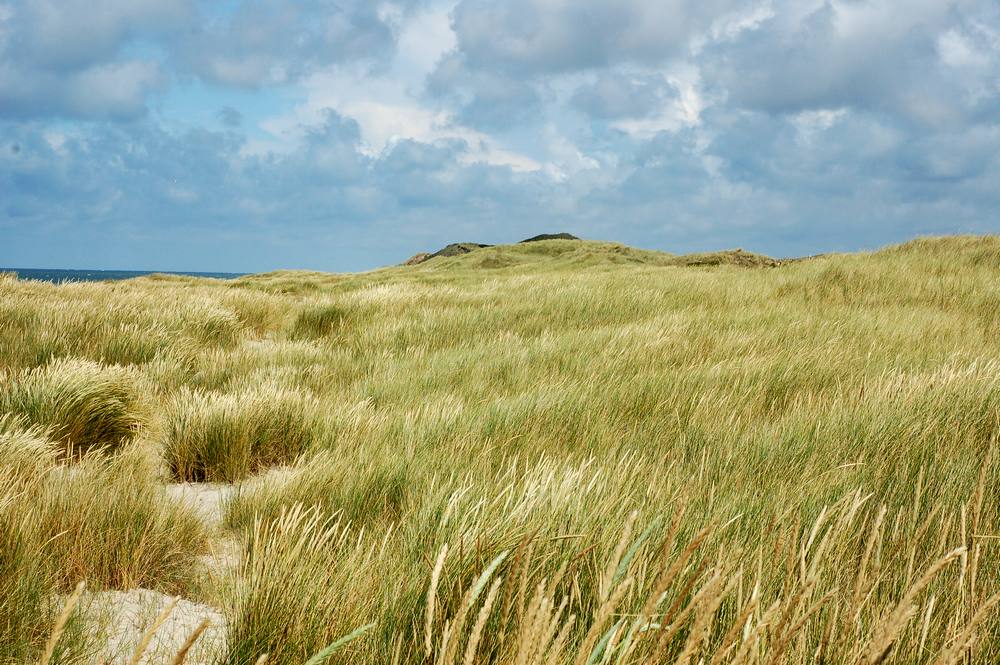 Sylt Impressionen 1