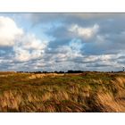 Sylt Impressionen -1-