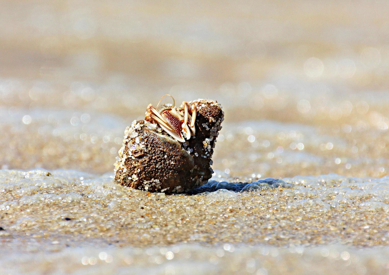 SYLT Impressionen /14