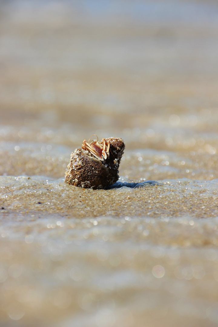 SYLT Impressionen 2