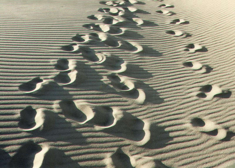 Sylt, in den Dünen