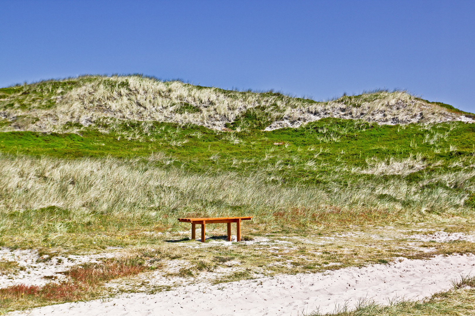 Sylt. In den Kampener Dünen