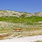 Sylt. In den Kampener Dünen