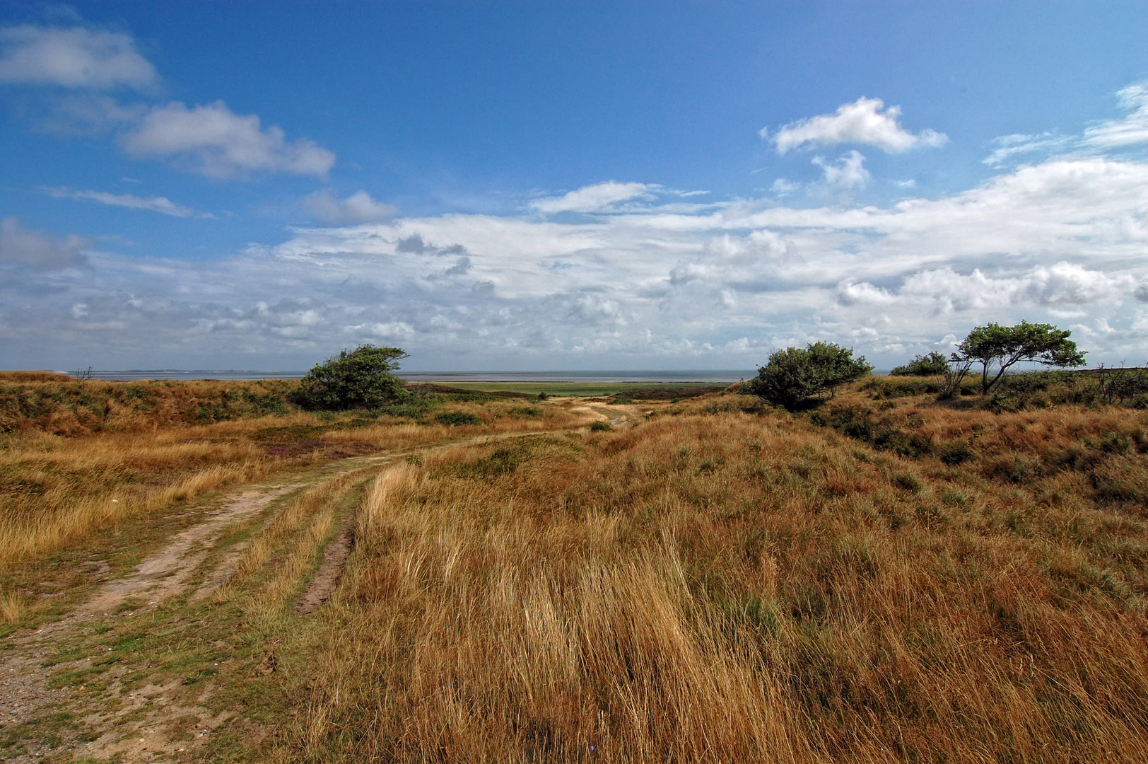 Sylt - In der Braderuper Heide