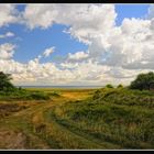 Sylt - In der Braderuper Heide