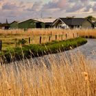 Sylt - Inselfoto Umgebung Tinnum