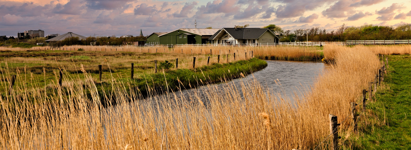 Sylt - Inselfoto Umgebung Tinnum