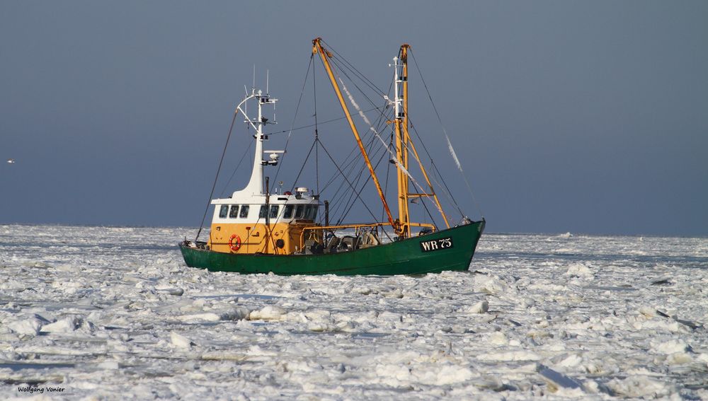 Sylt - Krabbenkutter im Treibeis