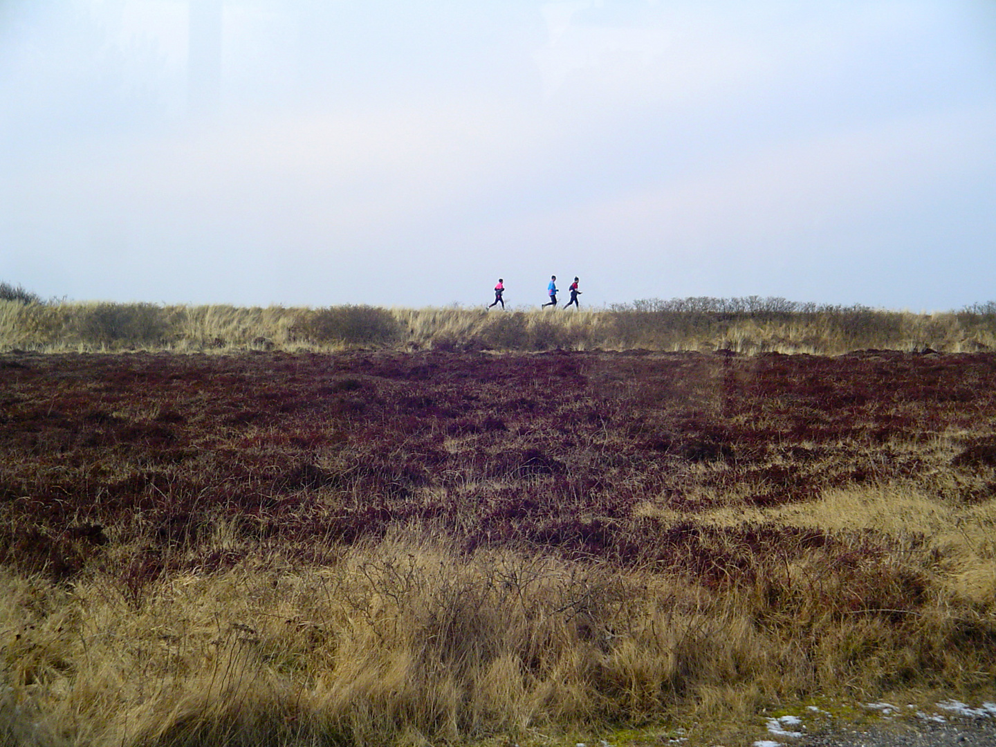 Sylt-Lauf am 17. März 2013