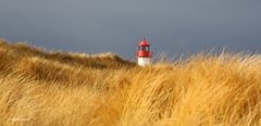 Sylt Leuchtturm auf dem Ellenbogen 