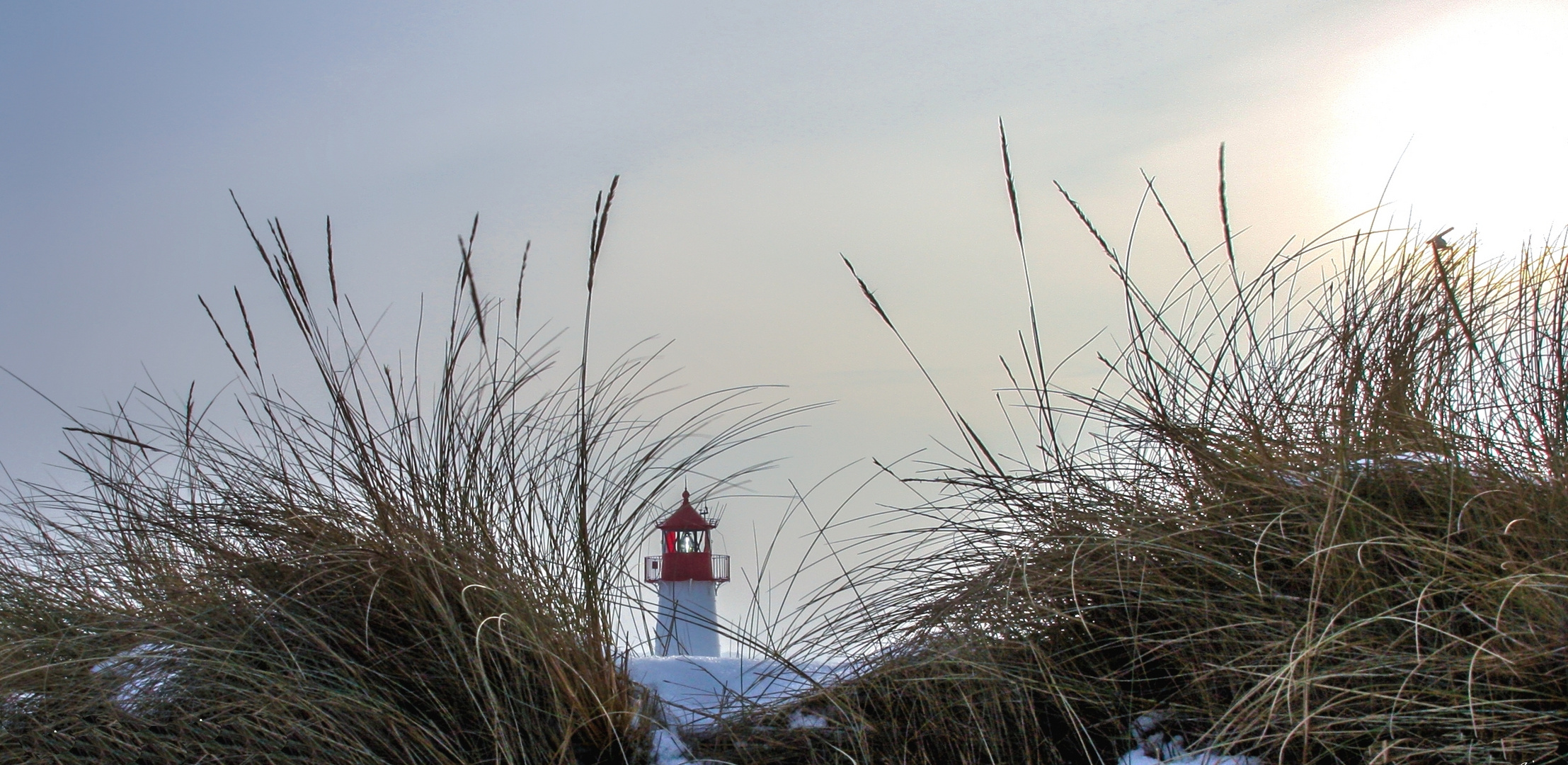 Sylt-Leuchtturm-Ellenbogen