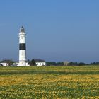 Sylt - Leuchtturm Kampen