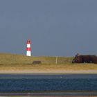 Sylt - List