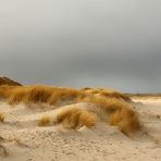 Sylt - Listland - Ellenbogen