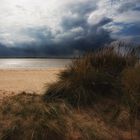 SYLT - Meer in Reichweite