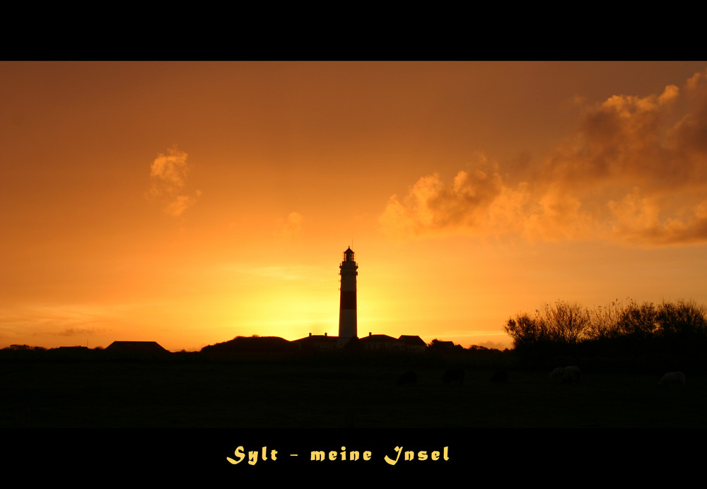 Sylt - meine Insel