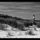 Sylt monochrom